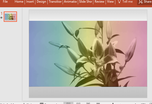 Multi-Colored Tint Video Background For PowerPoint
