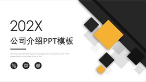 202X Company Introduction PPT Template