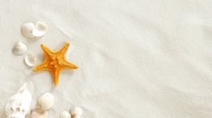 Image de fond PPT coquille étoile de mer plage