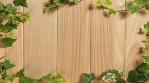 Image d'arrière-plan PPT de vignes de planche de bois naturel vert