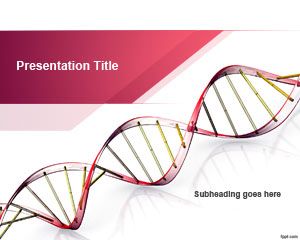 基因科学的PowerPoint模板