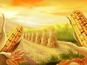 Golden corn-autumn harvest season ppt template