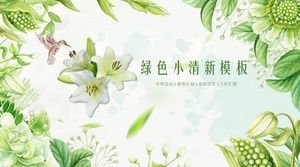 清新綠色植物花卉PPT模板
