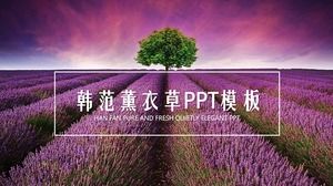 紫色薰衣草背景PPT模板免费下载