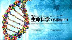 Modello PPT di scienze biologiche sullo sfondo della struttura molecolare del DNA