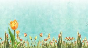Fresh tulip PPT background picture
