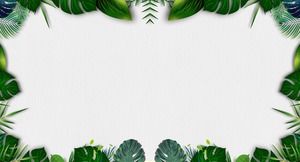 세 가지 녹색 잎 PPT 테두리 배경 그림