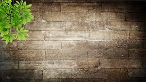 PPT tło obrazek ściana z cegieł i zielony liść