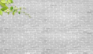 4 images de fond PPT mur de briques