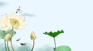 12 fresh lotus leaf PPT background pictures