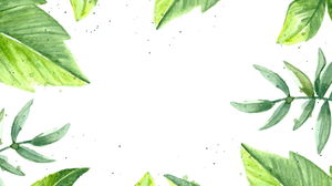 Watercolor green leaf PPT background picture