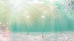 美丽的海洋鱼幻灯片背景图片