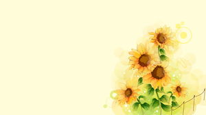 Four beautiful hand-painted sunflower PPT background pictures