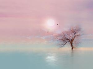 美しいブルーパープルトーンの太陽の木PPT背景画像