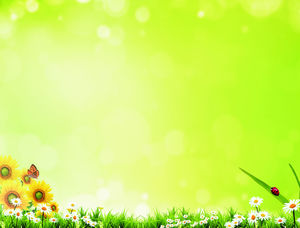 PPT background picture of halo flower butterfly grass