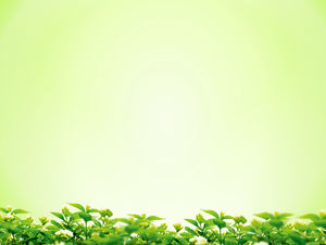 綠色桂花背景簡約PPT背景圖片