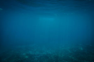 青い水中世界のシンプルなPPT背景画像