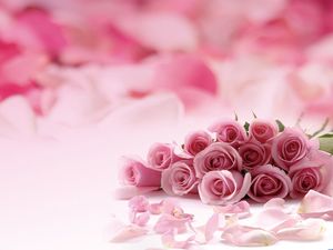 ピンクのロマンチックなバラの花PPT背景画像
