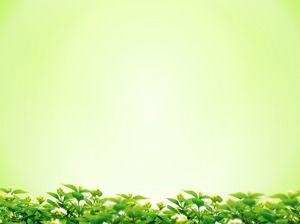 Fond vert élégant laisse des photos de fond de diapositive de feuille verte