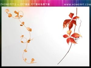 12 plant branches and leaves PPT illustration material