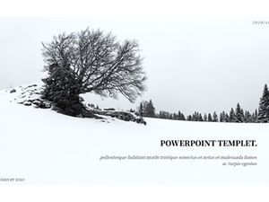 Simple winter——winter theme ppt template