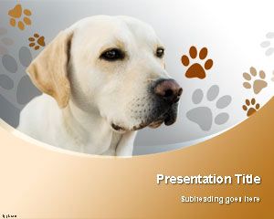Labrador-Retriever-Hund Powerpoint-Vorlage