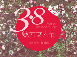 3.8 Universal ppt template for glamour women's day activities