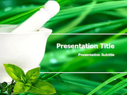Chinese herbal medicine-ppt template for the pharmaceutical industry