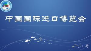 중국 국제 수입 박람회 PPT 템플릿