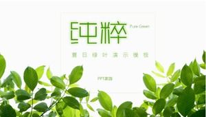 Small fresh green environmental protection theme work plan summary ppt template