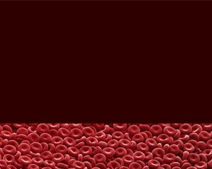 血細胞的PowerPoint模板