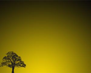Plantilla del árbol de la puesta del sol Powerpoint