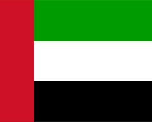 아랍 에미리트 파워 포인트의 국기