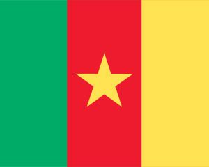 喀麦隆的PowerPoint国旗