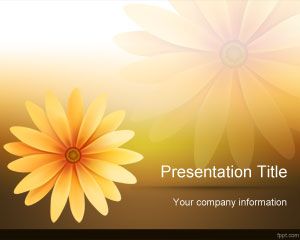 雛菊花的PowerPoint模板