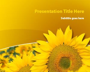 Sonnenblumen-Anlage Powerpoint-Vorlage