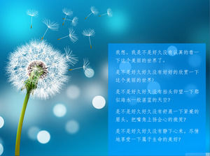 3 color beautiful dandelion slide background picture