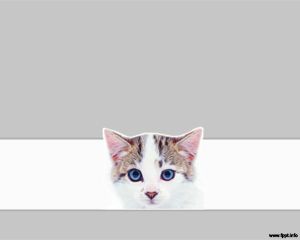 Format Pet Cat PowerPoint