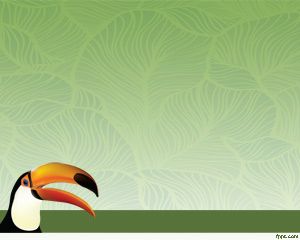 Modèle Toucan Oiseau PowerPoint