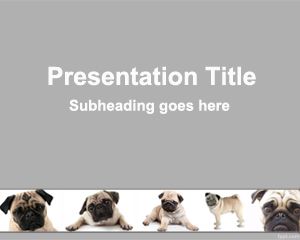 Mops PowerPoint Template
