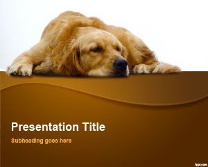 Modèle Golden Retriever PowerPoint