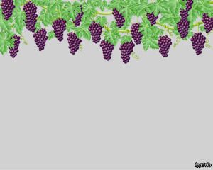 Grapes PowerPoint