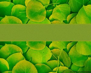 Verde Powerpoint Nature