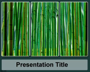 Template Sugar Cane PowerPoint