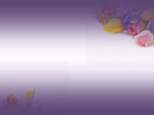Sekelompok tulip ungu background PPT gambar Download