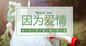 Album style because of love, so I want to marry you PPT romantic love