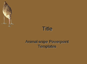 Szablony Powerpoint zwierzę Snipe