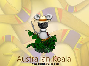 Avustralya Koala