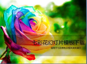 Piękne kolorowe róże szablon PPT do pobrania