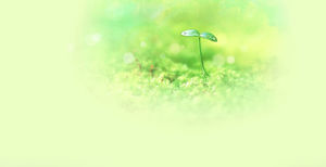 Blurred green seedling PPT background picture